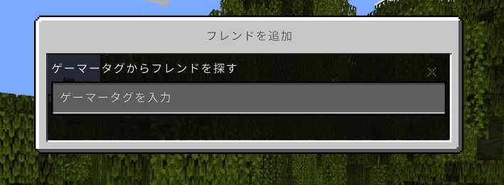 ゲーマータグを入力する