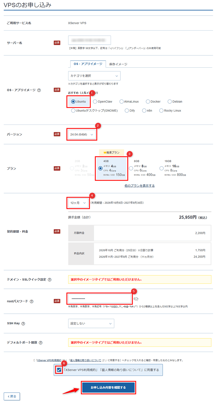 画像：VPSのお申し込み（入力後）
