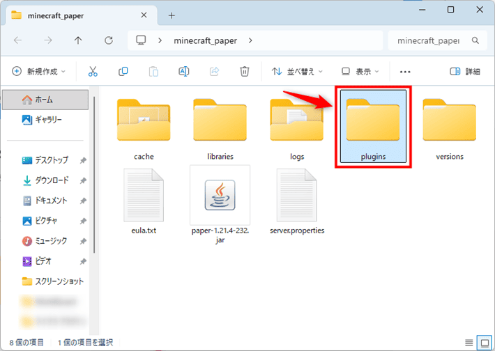 画像:「plugins」フォルダ