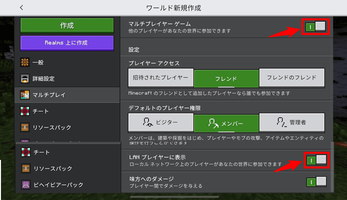 画像:「マルチプレイヤー ゲーム」「LAN プレイヤーに表示」をONにする