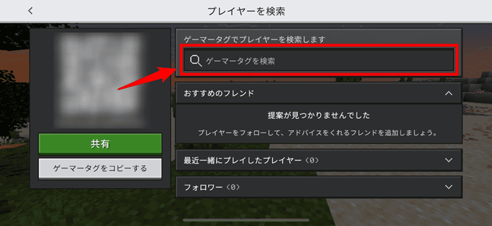 画像:「ゲーマータグ」を入力する