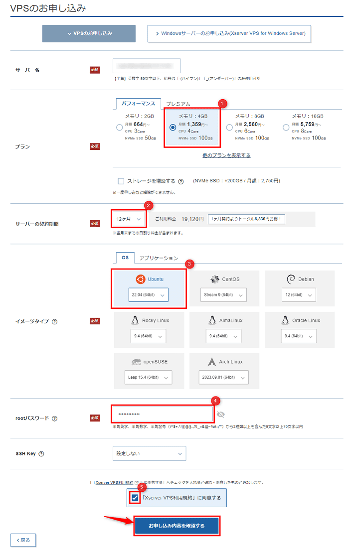 画像：VPSのお申し込み（入力後）