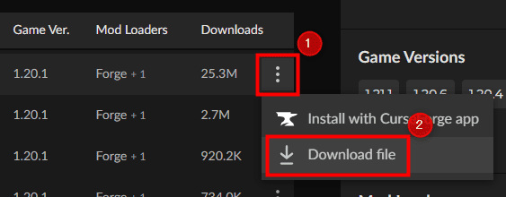 画像：「Download file」をクリックする