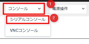 画像:「シリアルコンソール」を選択する